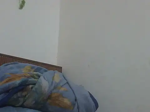 shekira99 online show from April 17, 2026, 12:57 am