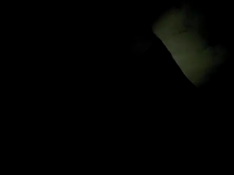 j hollywood91 online show from December 2, 2025, 5:46 am