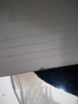 lilian prada online show from April 12, 2026, 4:34 pm