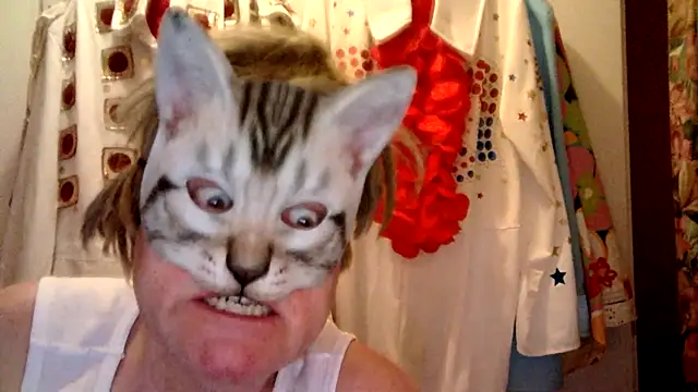 Snapshot of Sigorius chatting on January 7, 2025, 5:31 pm Sigorius online show from January 7, 2025, 5:31 pm