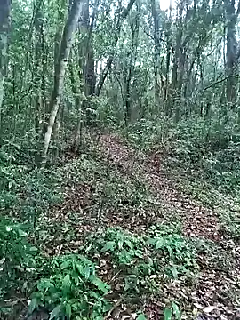 OFICINA Simas-Turbo online show from September 20, 2025, 7:37 pm