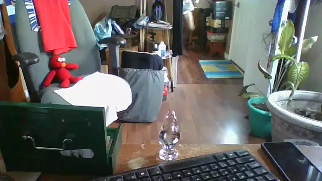 Snapshot of Daremeknot chatting on December 30, 2024, 7:00 pm Daremeknot online show from December 30, 2024, 7:00 pm