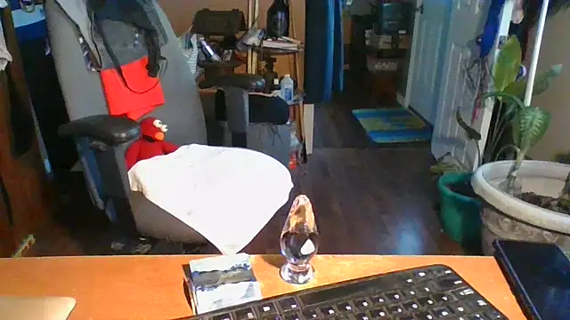 Snapshot of Daremeknot chatting on December 31, 2024, 2:25 pm Daremeknot online show from December 31, 2024, 2:25 pm