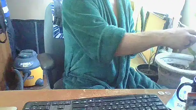 Snapshot of Daremeknot chatting on February 1, 2025, 3:18 pm Daremeknot online show from February 1, 2025, 3:18 pm