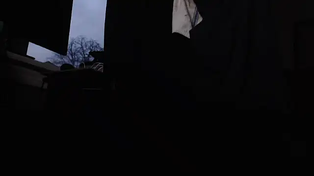 torpedo19086 online show from March 12, 2026, 11:05 am