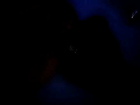 Egypt4280 online show from November 7, 2025, 4:45 am