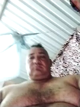 wili 203 online show from November 8, 2025, 1:17 am