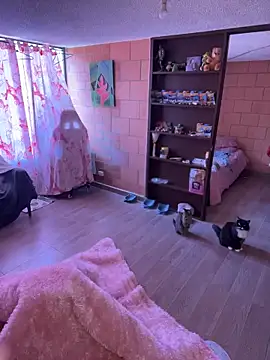 Snapshot of Sachi_Meow chatting on February 25, 2026, 6:06 pm Sachi Meow online show from February 25, 2026, 6:06 pm