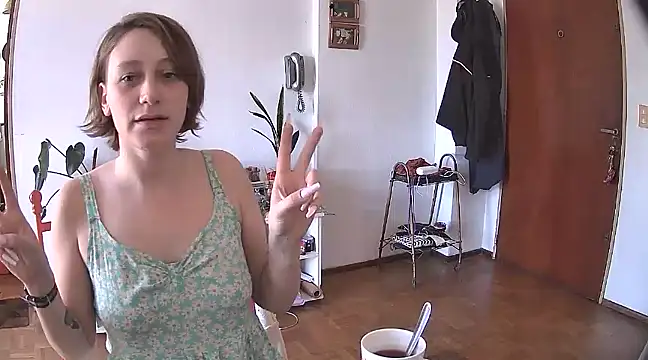 stupid babybird online show from December 28, 2024, 5:46 pm