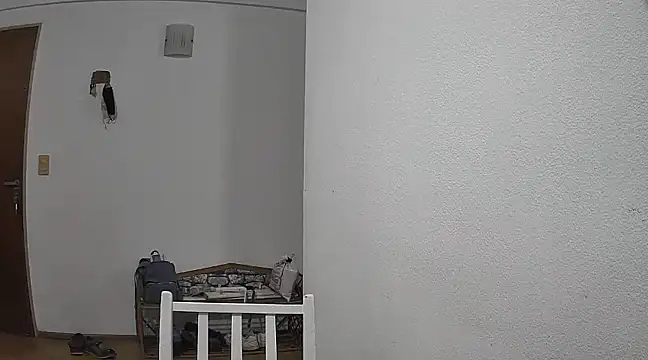 stupid babybird online show from January 18, 2025, 2:36 am