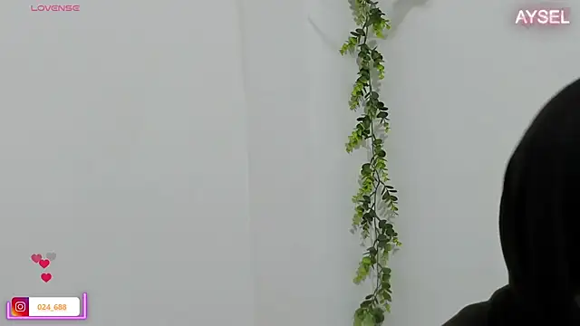 Snapshot of aysel_elid chatting on January 8, 2025, 12:06 am aysel elid online show from January 8, 2025, 12:06 am