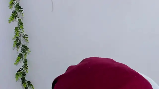 Snapshot of aysel_elid chatting on January 30, 2025, 5:06 pm aysel elid online show from January 30, 2025, 5:06 pm