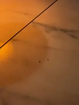 Mia Novikov online show from March 7, 2026, 7:05 am