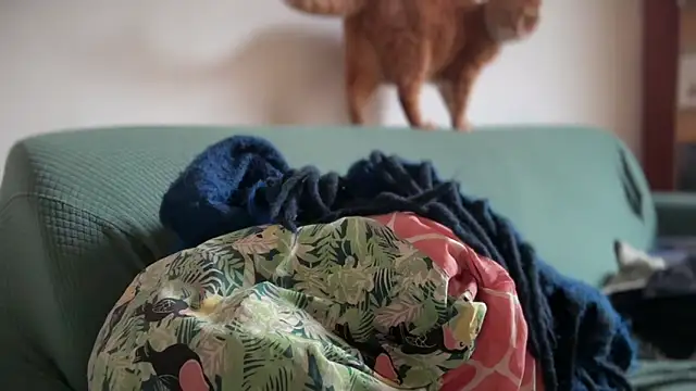 Brianjonest online show from March 22, 2026, 4:21 pm