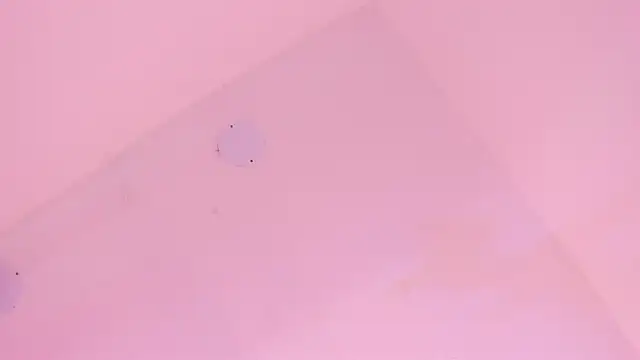 LoveQueen2 online show from January 6, 2026, 11:47 am