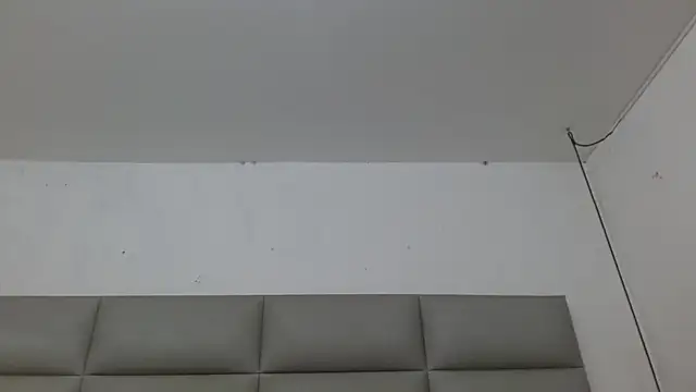 emily brontee  online show from November 4, 2025, 1:21 pm