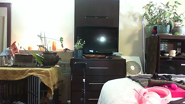 Snapshot of CeceilaMoon chatting on July 14, 2026, 4:23 pm CeceilaMoon online show from July 14, 2026, 4:23 pm