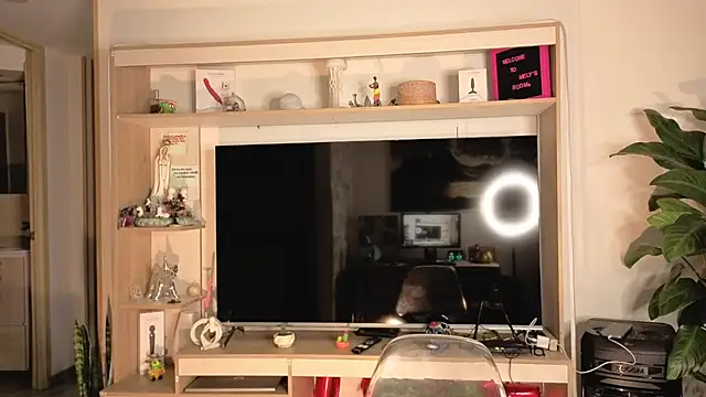 Michelle se online show from April 10, 2026, 11:42 pm