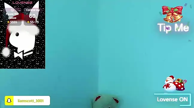 Liamscott  online show from December 22, 2024, 2:39 am