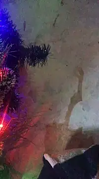 Snapshot of ChantalXOrchid chatting on January 15, 2025, 10:13 pm ChantalXOrchid online show from January 15, 2025, 10:13 pm