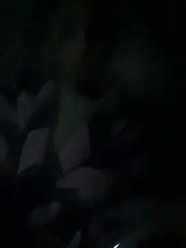 ChantalXOrchid online show from April 4, 2026, 10:51 pm