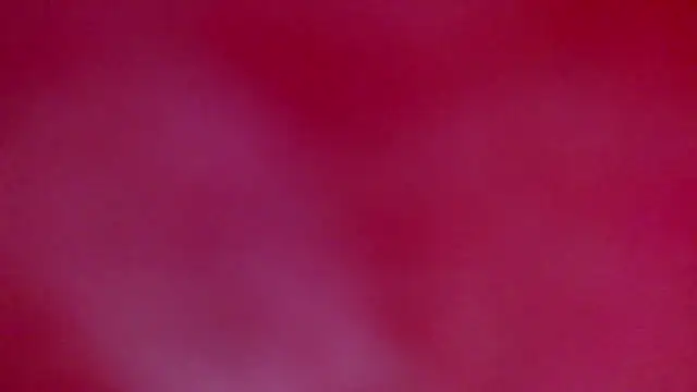 Snapshot of ray_and_666 chatting on January 18, 2026, 7:45 am ray and 666 online show from January 18, 2026, 7:45 am