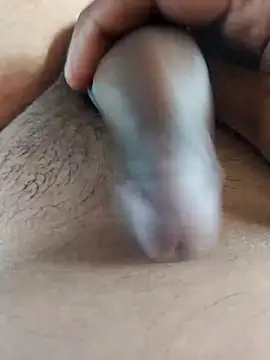 Dog546i online show from September 20, 2025, 9:54 am