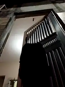 fieltoprj1 online show from December 13, 2024, 11:39 pm