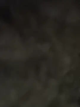 Everlyrose27 online show from December 17, 2024, 12:45 am