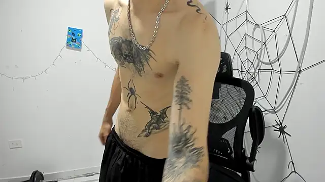 Snapshot of DmitriSanders chatting on February 20, 2026, 10:32 pm DmitriSanders online show from February 20, 2026, 10:32 pm