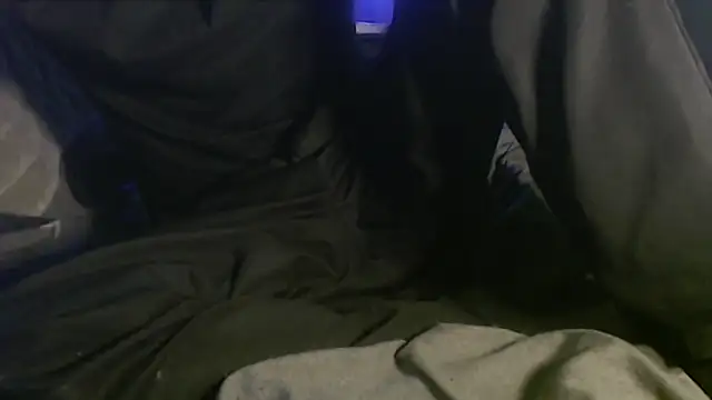 Dogz n daugthers online show from February 4, 2025, 10:00 am