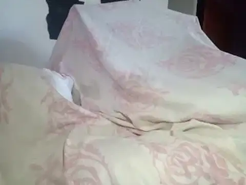 Snapshot of aritolapiz chatting on February 17, 2026, 9:10 pm aritolapiz online show from February 17, 2026, 9:10 pm