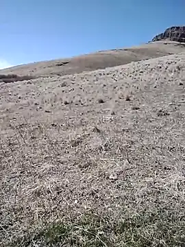 rockpimp online show from March 9, 2026, 6:56 pm