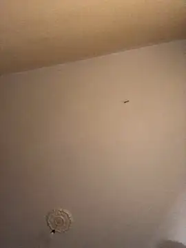 ClatteryPrexy online show from December 16, 2024, 4:27 pm