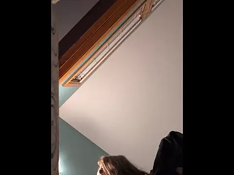 Snapshot of RandomGuy420lol chatting on November 20, 2025, 3:50 am RandomGuy420lol online show from November 20, 2025, 3:50 am