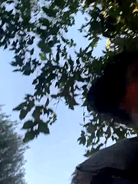 Snapshot of starrynikki chatting on October 24, 2025, 2:24 pm starrynikki online show from October 24, 2025, 2:24 pm