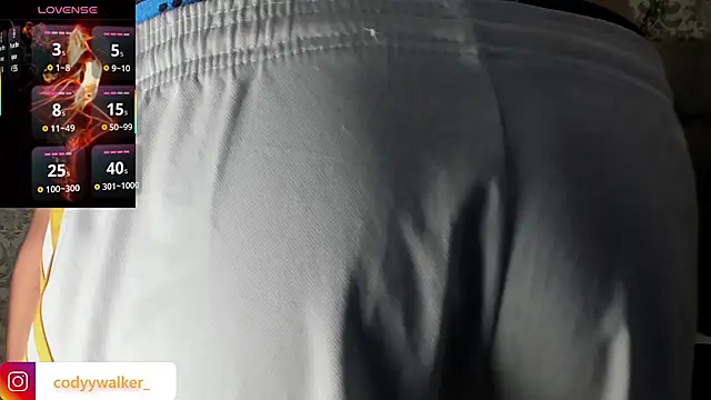 CodyWalkerR online show from January 14, 2026, 5:29 pm