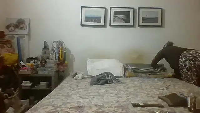 brasiliana49 online show from May 16, 2026, 6:07 pm