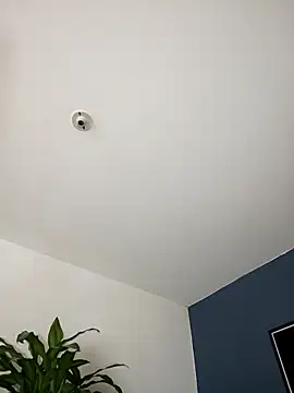 SilvaBranko online show from November 2, 2025, 11:07 pm