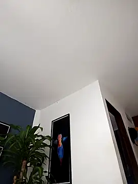 SilvaBranko online show from December 20, 2025, 2:07 am