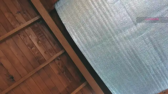 SilvaBranko online show from March 25, 2026, 10:05 pm