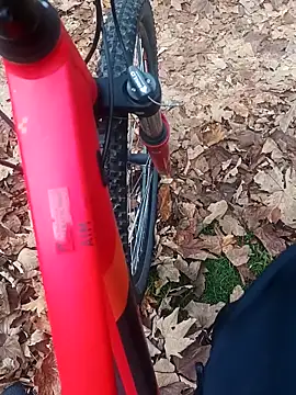 maleesa online show from November 2, 2025, 6:27 am