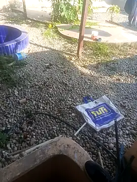 CuchiCuchi online show from September 12, 2025, 9:04 pm