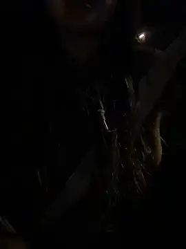 -mirai- online show from February 28, 2025, 3:04 pm