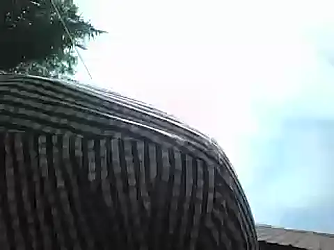 Snapshot of Javan_ chatting on January 15, 2025, 8:41 am Javan online show from January 15, 2025, 8:41 am