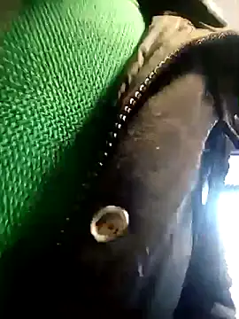 Snapshot of BZHsex chatting on March 9, 2025, 5:28 pm BZHsex online show from March 9, 2025, 5:28 pm