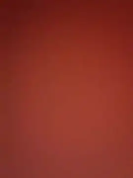 Snapshot of kikkastar chatting on December 25, 2024, 10:59 pm kikkastar online show from December 25, 2024, 10:59 pm