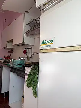 Snapshot of Sunbelxx chatting on November 4, 2025, 8:46 am Sunbelxx online show from November 4, 2025, 8:46 am