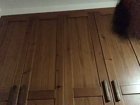 Snapshot of Dicksexhandjob chatting on December 17, 2024, 12:23 am Dicksexhandjob online show from December 17, 2024, 12:23 am