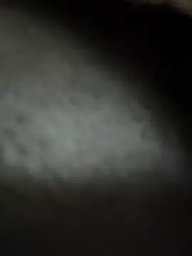 Snapshot of RiriRoseey chatting on November 19, 2025, 8:36 am RiriRoseey online show from November 19, 2025, 8:36 am